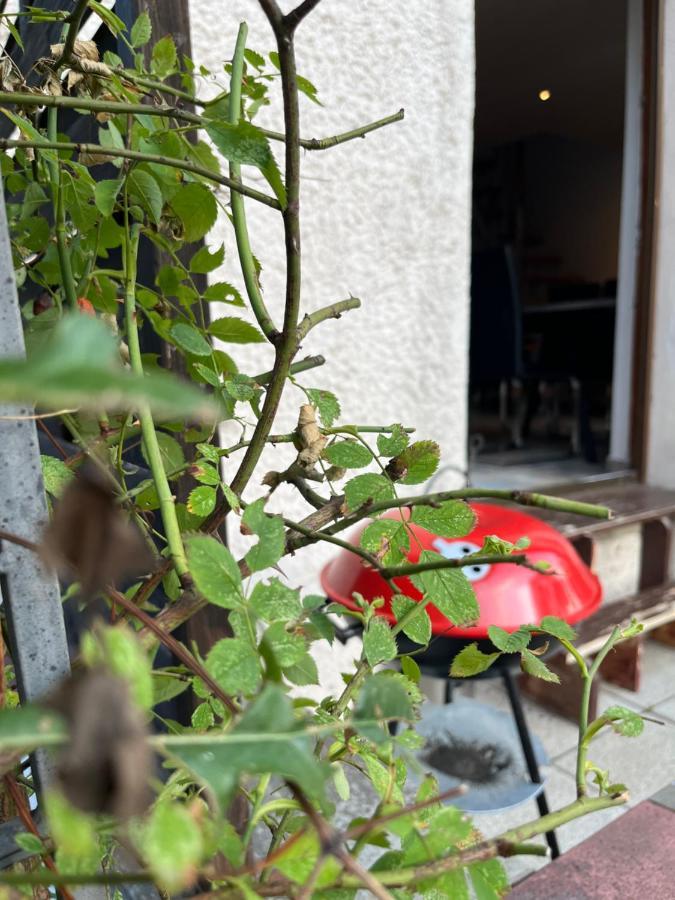 Alpina Haus Lägenhet Oberammergau Exteriör bild